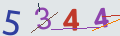 verifycode